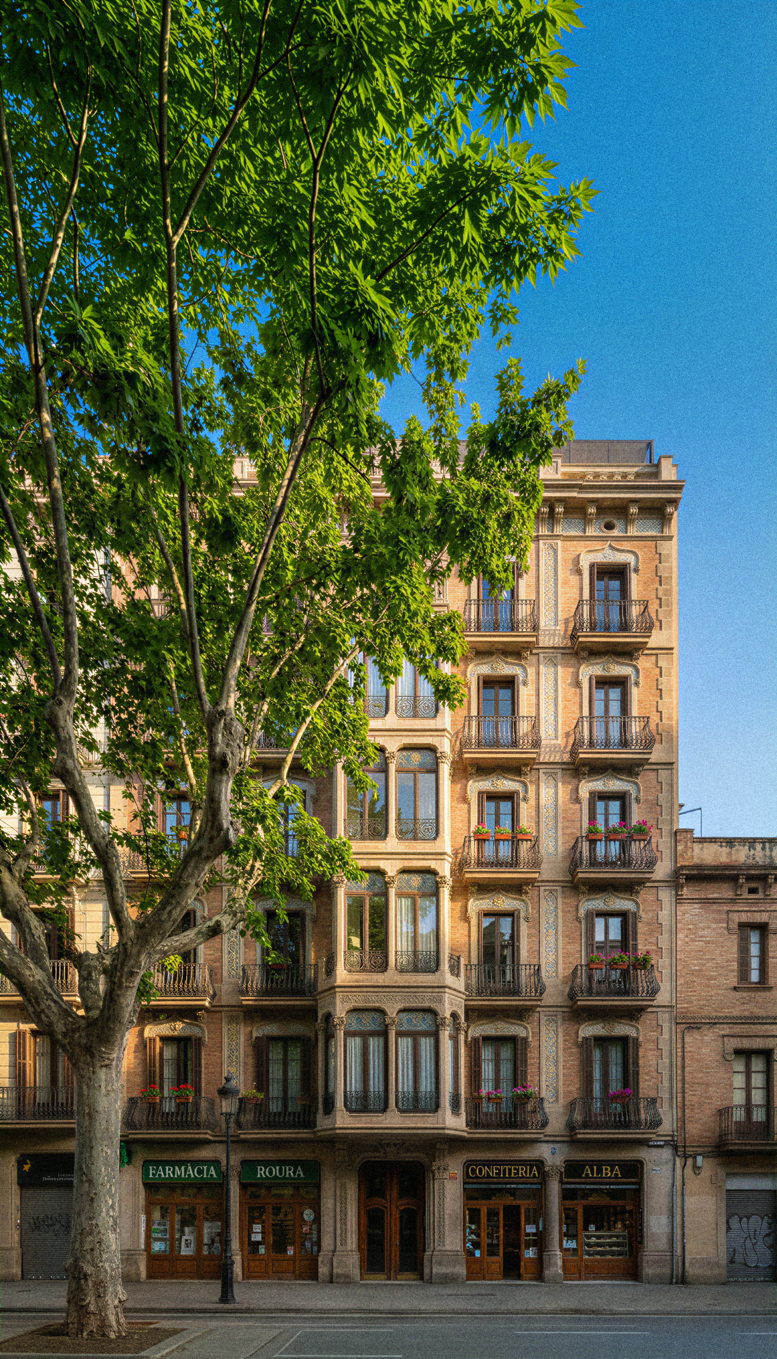Sunny Barcelona building framed by trees.